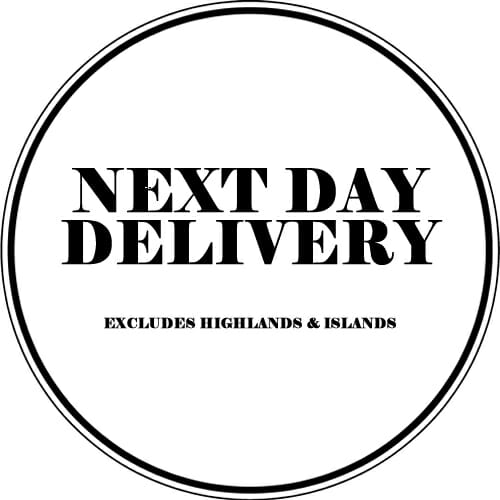 next day
