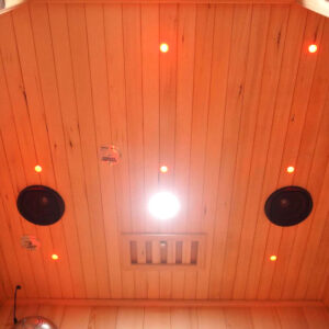 premier 2 person full spectrum infrared sauna with complete heat