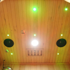 premier 2 person full spectrum infrared sauna with complete heat